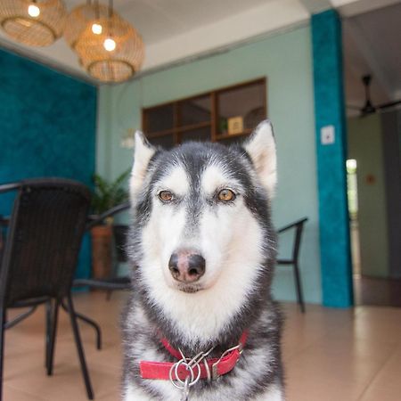 Thansila Resort Ranong Zewnętrze zdjęcie