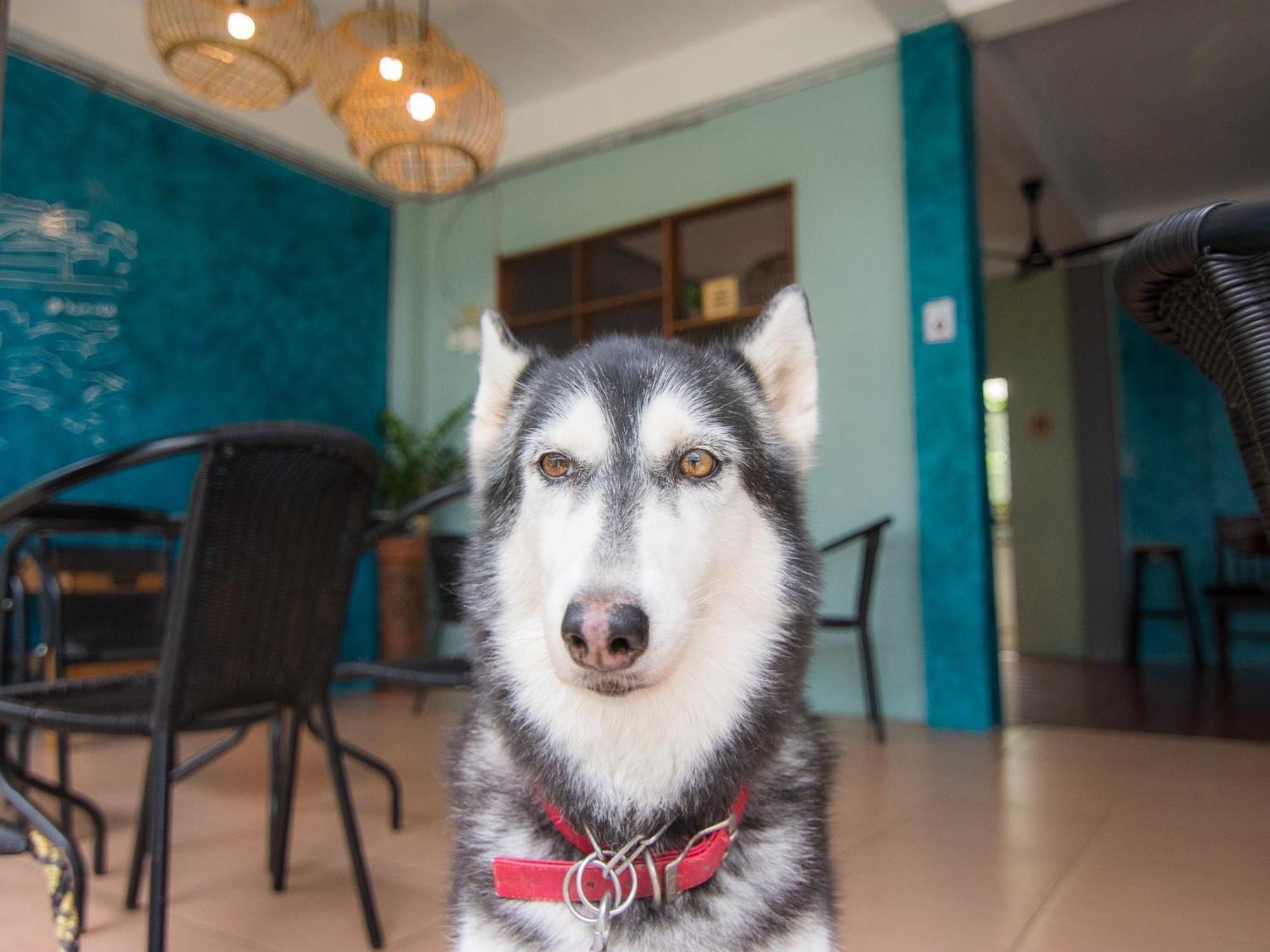 Thansila Resort Ranong Zewnętrze zdjęcie